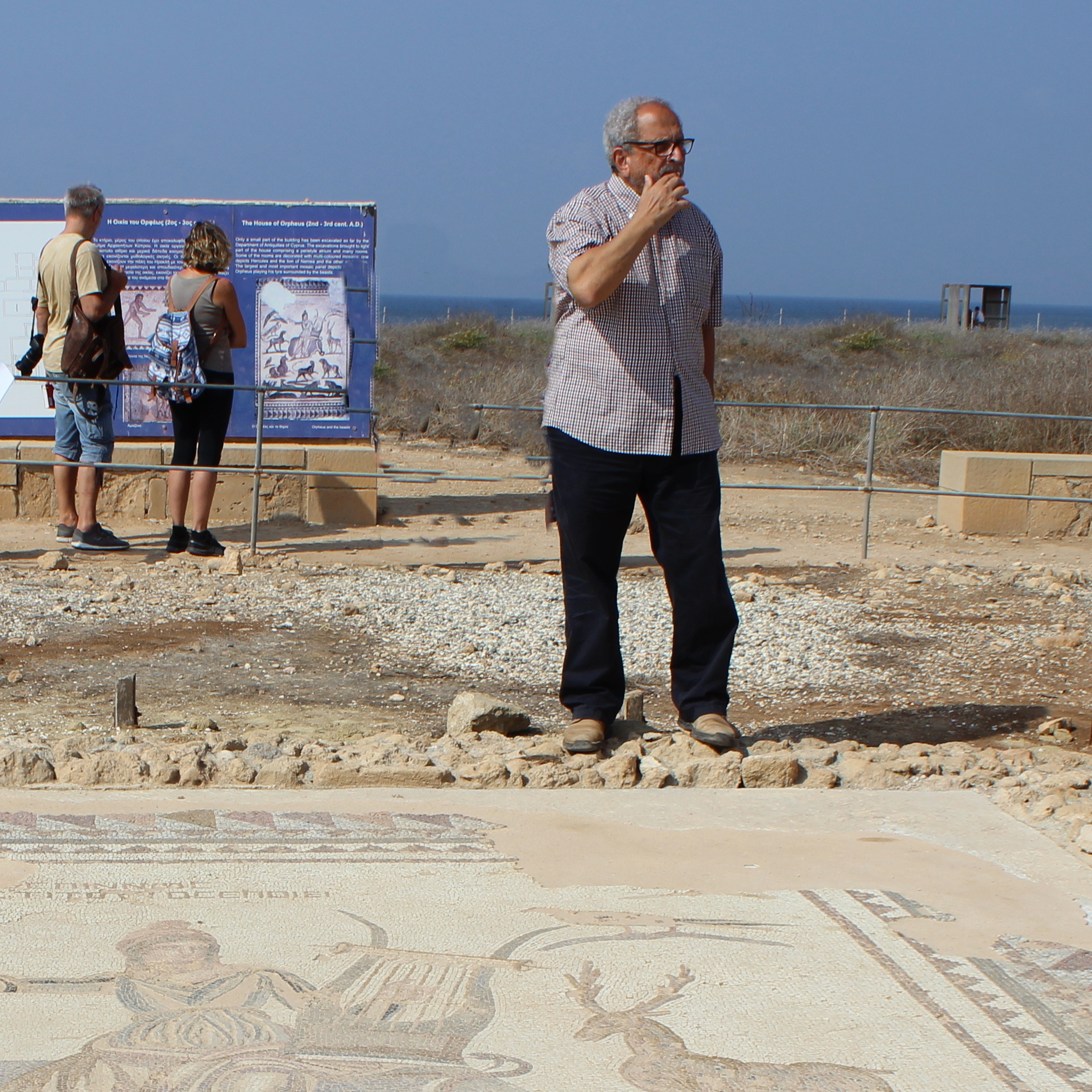 Professor Demetrios Michaelides