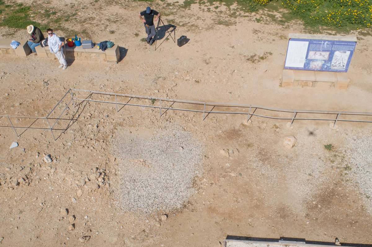 Documenting the House of Orpheus in 2019 - image 10